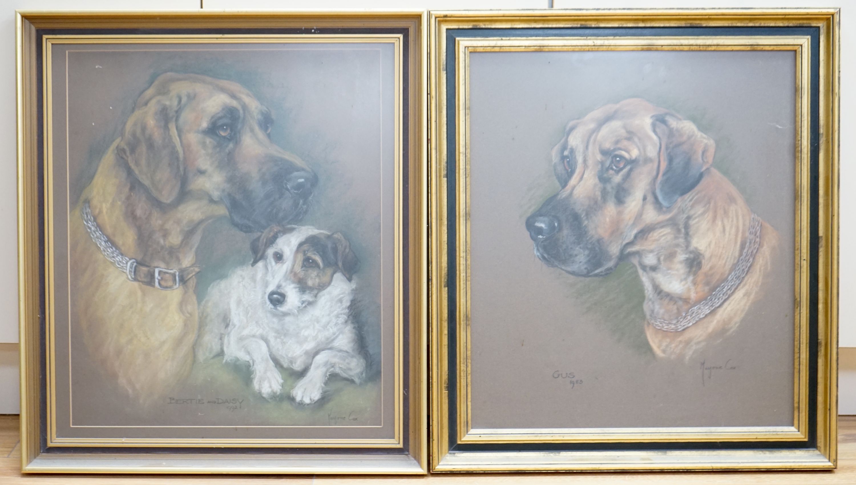 Marjorie Cox (1915-2003), pair of pastels, Portraits of Great Danes and a Terrier, signed and dated 1983/1992, 54 x 46cm